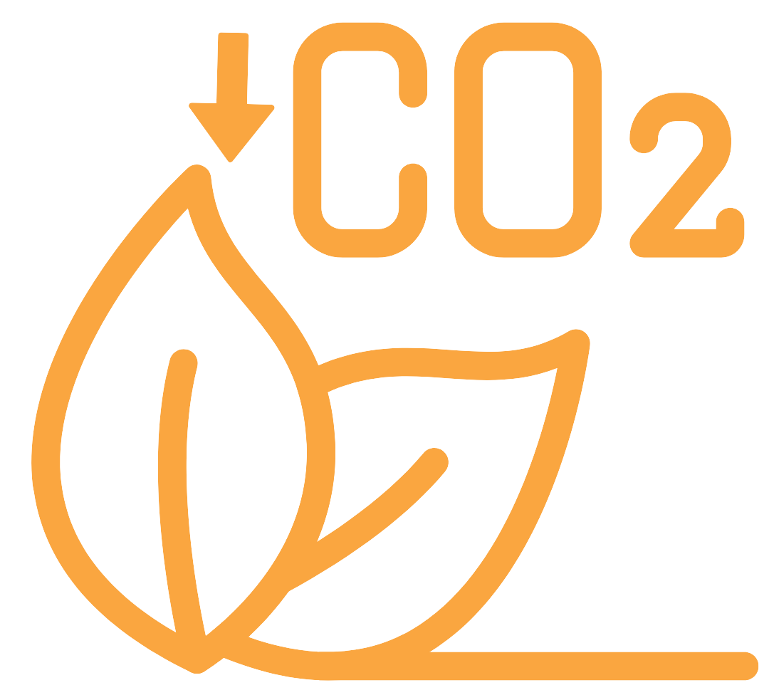 co2